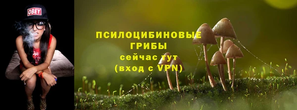 гашик Абаза