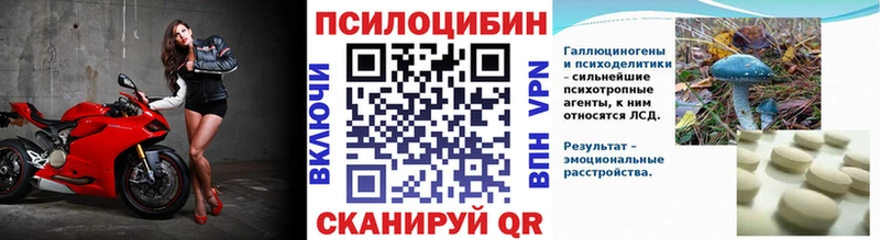 закладки  Лиски  Галлюциногенные грибы Psilocybine cubensis 