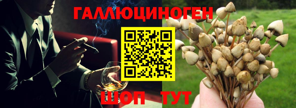 Лиски  Псилоцибиновые грибы GOLDEN TEACHER  Галлюциногенные грибы GOLDEN TEACHER  Вход с VPN 